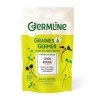 Seminte Varza Rosie Germinat Eco Germline 100g, Bio, Italia - Seminte de germinare, bogate in vitamine si minerale