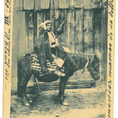 4022 - PETROSANI, Hunedoara Ethnic woman on horseback - old postcard - used 1904