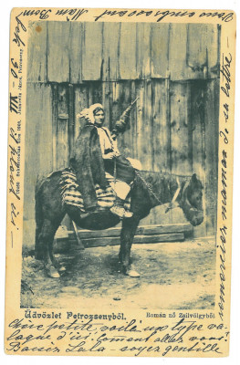 4022 - PETROSANI, Hunedoara Ethnic woman on horseback - old postcard - used 1904 foto