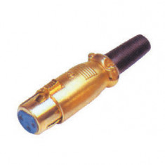 Mufa xlr mama gold