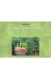 Sa observam legumele - Planse - Luminita Mihoc