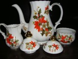 SET / SERVICIU DIN PORTELAN BAVARIA CEAINIC LATIERA SI ZAHARNITA