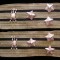 C1 9 - Grade militare - comunism - camasa bluza - colonel transmisiuni
