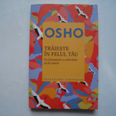 Traieste in felul tau. Ce inseamna cu adevarat sa fii rebel? - Osho