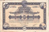PM284N Acția Fabricei de textile Țesătoria Ardeleană din Cluj, 1923, pe numele lui Iuliu Albini, guvernatorul minelor de aur de la Zlatna