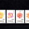 M1 TX9 6 - 1998 - Flora