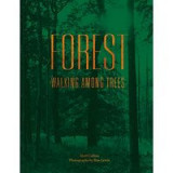 Forest: Walking Among Trees