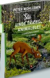Stii unde traiesc animalele? O expeditie prin padure si pe la campie - Publica