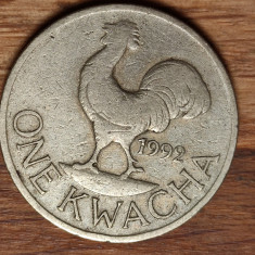 Malawi - moneda de colectie exotica -1 kwacha 1992 - unic an de batere