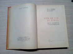 VITA DE VIE SI VINUL de-a Lungul Veacurilor - I. C. Teodorescu (autograf) - 1966 foto