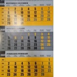 Calendar de perete A3 triptic, 12 file, galben 2026