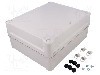 Carcasa ABS, 241mmx291mmx128mm, IP66, SCHNEIDER ELECTRIC - NSYTBS292412H