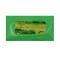 Pigment Glow In The Dark FX Green 100Gr.