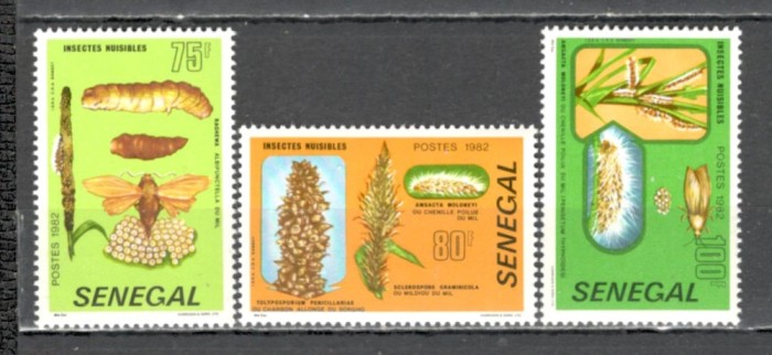 Senegal.1982 Insecte MS.165