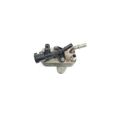 Radiator ulei motor, Termoflot Bmw Seria 3 E90/E91/92/93 2005-2013, Seria 5 F10/F11 2010-, Seria 5 Gt F07 2009-, Seria 7 F01/F02 2008-, X5 E70 2007-2 foto