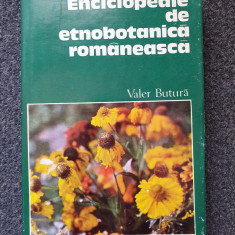 ENCICLOPEDIE DE ETNOBOTANICA ROMANEASCA - Valer Butura