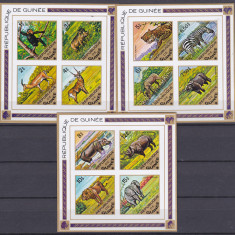 DB1 Fauna Africana 1975 Guineea 3 MS nedantelate Rare MNH