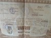 Brevet Diploma de Bacalaureat , Ministerul Instructiunii.Regatul Romaniei