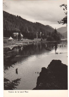 CPIB 22757 - CARTE POSTALA - VEDERE DE LA LACUL ROSU, RPR, NECIRCULATA foto