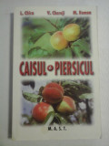 CAISUL SI PIERSICUL - L. Chira *,V. Chereji , M. Roman