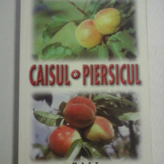 CAISUL SI PIERSICUL - L. Chira *,V. Chereji , M. Roman