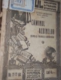 CAMINUL ALBINELOR STIINTA SI FOLOASELE ALBINARITULUI FLORIN BEGNESCU 1924