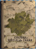 Z Stanescu, I. Popovici, P. Staticescu - Cultura Sfeclei de Zahar