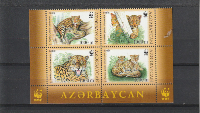 Fauna ,WWF, feline,Azerbaijan.