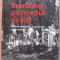(C496) ANETA BOGDAN - BRANDING PE FRONTUL DE EST