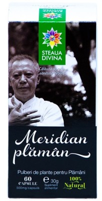 Meridian plaman 60cps santo raphael foto