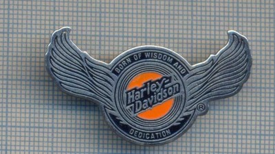 AX19 INSIGNA MOTOCICLISM - HARLEY -DAVIDSON-BORN OF WISOOM -PT. COLECTIONARI foto