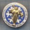 AX 927 INSIGNA -SPARTACHIADA DE IARNA A FETELOR -REGIUNEA STALIN-PT COLECTIONARI
