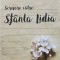 SCRISORI CATRE SFANTA LIDIA-MELINDA JOHNSON-238365