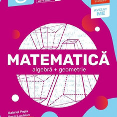 Matematică. Algebră, geometrie. Clasa a VIII-a. Standard - Paperback brosat - Paralela 45 educațional