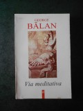 George Balan - Via meditativa. Intalnirea cu noi insine
