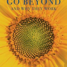 Ways to Go Beyond and Why They Work: Seven Spiritual Practices for a Scientific Age