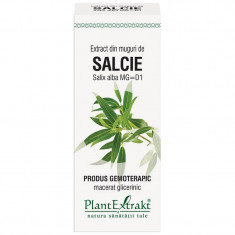 Extract Muguri Salcie 50ml PlantExtrakt