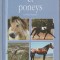 Isabelle Bernard - Chevaux et poneys (lb. franceza)