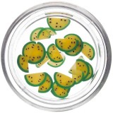 Cumpara ieftin Decorațiuni fimo - jackfruit tăiat, INGINAILS