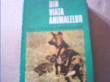 Hugo si Jane van Lawick-Goodall - DIN VIATA ANIMALELOR { 1975 }, Alta editura