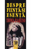 Despre fiinta si esenta - Thoma D&amp;#146;Aquino