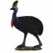 Figurina strut cassowary l collecta