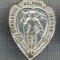 AX 577 INSIGNA- BARNARDO HELPERS LEAGUE- FUNDATIE DE CARITATE PENTRU COPII
