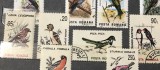 Cumpara ieftin (3) Timbre Serii Romania Fauna Pasari