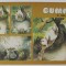 BUMMI , REVISTA PENTRU COPII IN LIMBA GERMANA , No. 18 , 1989