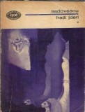 Cumpara ieftin Fratii jderi (volumul 1) - Mihail Sadoveanu