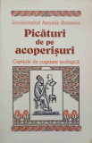 PICATURI DE PE ACOPERISURI. CAPITOLE DE CUGETARE TEOLOGICA-IEROMONAHUL ANTONIE ROMAIOS, 2017