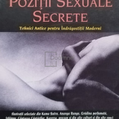 Kenneth Ray Stubbs - Pozitii sexuale secrete (editia 2003)