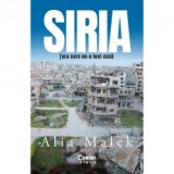 Siria. Tara care ne-a fost casa - Lidia Gradinaru, Alia Malek