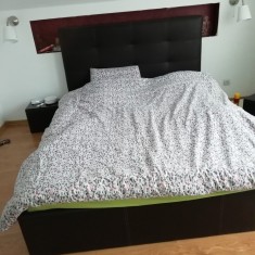 Cauti Pat Dublu Dormitor 2m 1 6m Nou Cumparat De La Praktiker